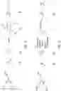 Fig. 06 - Reversible aminal gel compositions, methods, and use