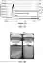 Fig. 04 - Nanoparticulate containing proppant suspension composition with breaker and aggregator