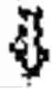 Fig. 02 - Mutant glucose oxidase and use thereof