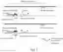 Fig. 02 - METHODS FOR ASSESSING RISK USING MISMATCH AMPLIFICATION AND STATISTICAL METHODS