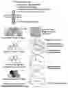 Fig. 01 - Multimodal readouts for quantifying and sequencing nucleic acids in single cells