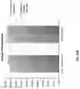 Fig. 35 - Targeted sequencing and UID filtering