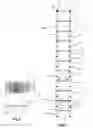 Fig. 02 - Telescopic ladder assembly