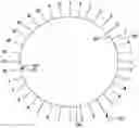 Fig. 01 - Rotor blade arrangement