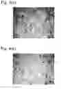 Fig. 03 - Sintered valve seat