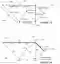 Fig. 09 - Identifying, processing and displaying data point clusters