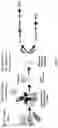 Fig. 07 - BIOLOGICAL SAMPLE PREPARATION FOR TESTING