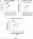 Fig. 06 - BIOENERGETIC PROFILING OF CIRCULATING BLOOD CELLS AND SYSTEMS, DEVICES, AND METHODS RELATING THERETO