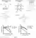 Fig. 09 - Composition and method for modulating fibroblast growth factor receptor 3 activation