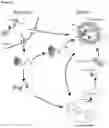 Fig. 15 - Ligand identification by co-fractionation