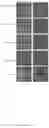 Fig. 09 - Intrabodies targeting post-translational modifications of native proteins and method for obtaining them