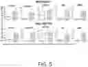 Fig. 06 - METHODS FOR DETERMINING BREAST CANCER RISK