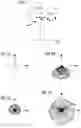 Fig. 02 - METHOD AND APPARATUS FOR IMPLEMENTING A MAGNETIC RESONANCE MEASUREMENT THAT IS INSENSITIVE TO OFF-RESONANCE