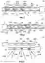 Fig. 02 - Holograghic waveguide LIDAR
