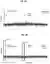 Fig. 19 - LIDAR system to adjust doppler effects
