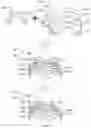 Fig. 18 - Lens, camera module and manufacturing method thereof