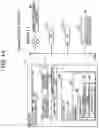 Fig. 02 - Image processing apparatus executing image process in accordance with setting including setting value specified for each setting category