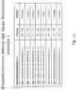 Fig. 02 - Structured system for progressing of entities' assigned positions into the next successive higher levels of progression in a self-compacting relational multi-level tree system