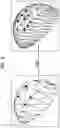 Fig. 09 - SYSTEMS AND METHODS FOR LIGHTWEIGHT PRECISE 3D VISUAL FORMAT