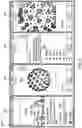 Fig. 09 - Digital Visualization and Perspective Manager
