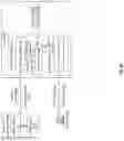 Fig. 33 - Interpreting an image