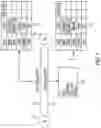 Fig. 09 - Systems and methods for assigning node profiles to record objects