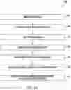Fig. 23 - Systems and methods for generating field-specific health scores for a system of record