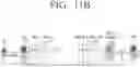 Fig. 25 - Electronic apparatus and control method thereof