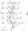 Fig. 08 - Systems and methods for genealogical graphing