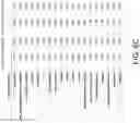 Fig. 09 - Using at home measures to predict clinical state and improving the accuracy of at home measurements/predictions data associated with circadian rhythm and meal timing