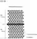 Fig. 07 - Method for producing electrode for aluminum electrolytic capacitor
