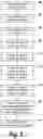 Fig. 07 - SYSTEMS AND METHODS FOR FORMING ELECTRONIC DEVICES FROM NANOMATERIALS