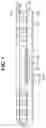 Fig. 09 - Package-on-package type semiconductor package and method for manufacturing the same
