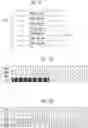 Fig. 09 - Semiconductor memory device and method for programming shared page data in memory cells of two different word lines