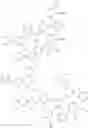 Fig. 294 - Organic functional compounds, mixtures, formulations, organic functional thin films and preparation methods therefor and organic electronic devices