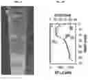 Fig. 02 - Sulfur-carbon tubes and/or spheres, and methods of making same