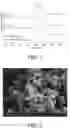 Fig. 02 - Silicon nanoparticle-containing hydrogen polysilsesquioxane calcined product, negative electrode active material for lithium ion battery, negative electrode for lithium ion battery and lithium ion battery