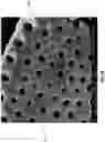 Fig. 08 - Diatomaceous energy storage devices