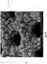 Fig. 11 - Diatomaceous energy storage devices