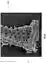 Fig. 12 - Diatomaceous energy storage devices