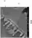 Fig. 13 - Diatomaceous energy storage devices