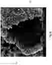 Fig. 15 - Diatomaceous energy storage devices