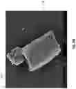 Fig. 19 - Diatomaceous energy storage devices