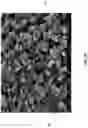 Fig. 20 - Diatomaceous energy storage devices