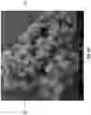 Fig. 27 - Diatomaceous energy storage devices