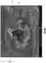 Fig. 29 - Diatomaceous energy storage devices