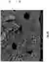 Fig. 30 - Diatomaceous energy storage devices
