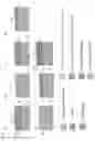 Fig. 04 - Bipolar plate for fuel cells, and production method