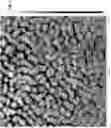 Fig. 08 - Ion exchanging membrane, method for manufacturing the same and energy storage system comprising the same