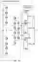 Fig. 07 - Internal paralleled active neutral point clamped converter with logic-based flying capacitor voltage balancing